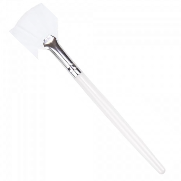 Fan Facial Brush